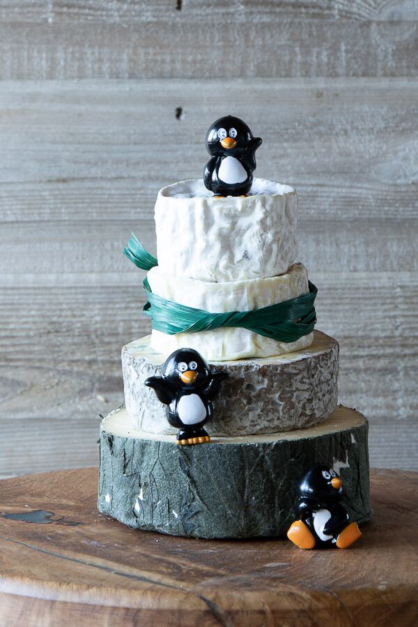 Mini Celebration Cheese cake decorated with green raffia and penguins